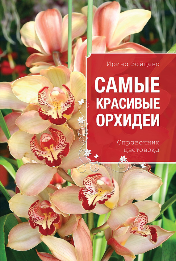 Скачать Самые красивые орхидеи. Справочник цветовода быстро