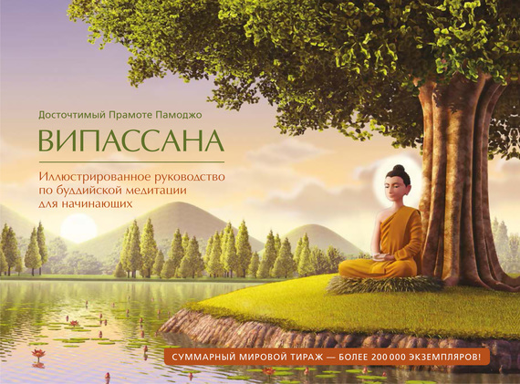 Скачать Випассана. Иллюстрированное руководство по буддийской медитации для начинающих быстро