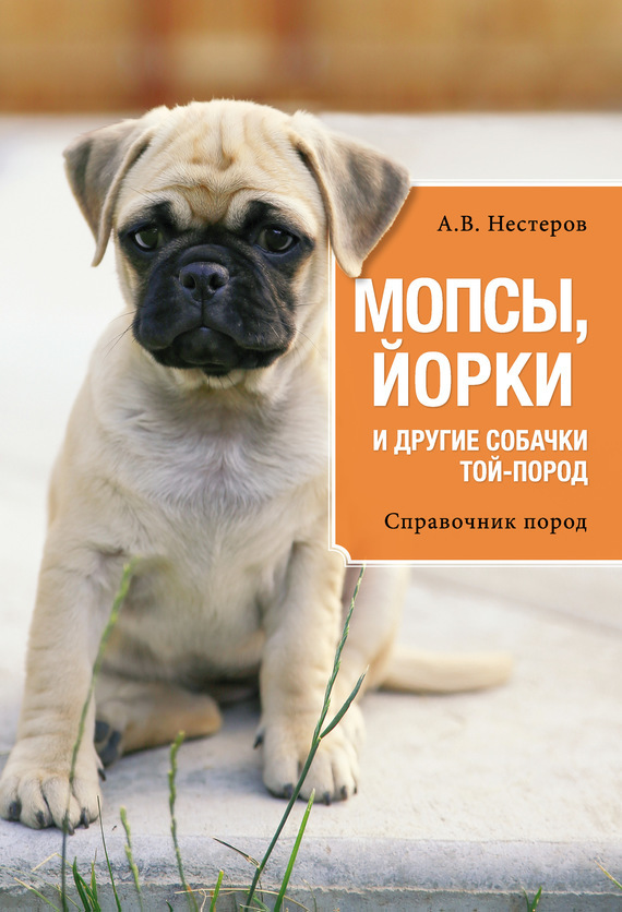 Достойное начало книги 20/06/65/20066517.bin.dir/20066517.cover.jpg обложка