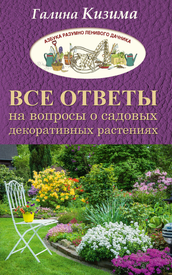 Достойное начало книги 27/05/93/27059360.bin.dir/27059360.cover.jpg обложка