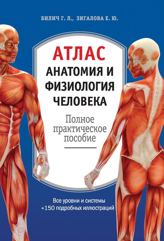 Скачать Атлас: анатомия и физиология человека. Полное практическое пособие быстро