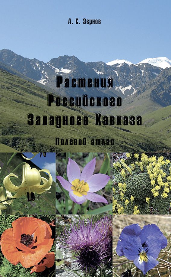 Скачать Растения Российского Западного Кавказа. Полевой атлас быстро